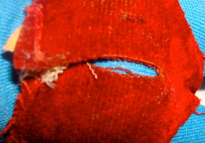 Ledy shorts, velcro closure, posterior view